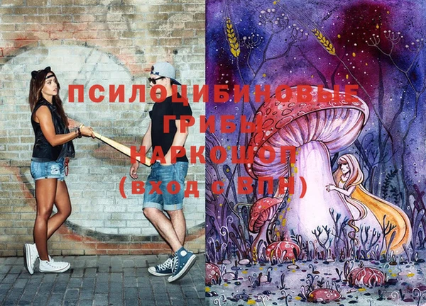 каннабис Белокуриха