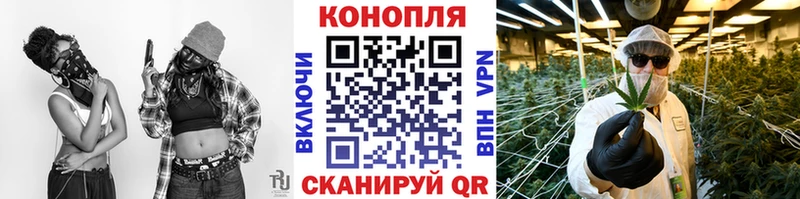 купить наркотики сайты  Мураши  Каннабис семена 